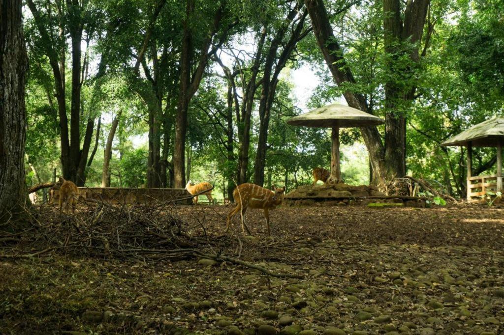 Oyo 90066 Tobana Pejaten House Dżakarta Zewnętrze zdjęcie